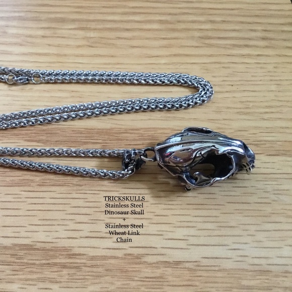 Sabre-Toothed Tiger Smilodon Big Cat Dinosaur Skull Stainless Pendant & Chain - Picture 2 of 13